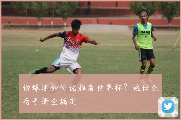 伪球迷如何优雅看世界杯？这份生存手册全搞定
